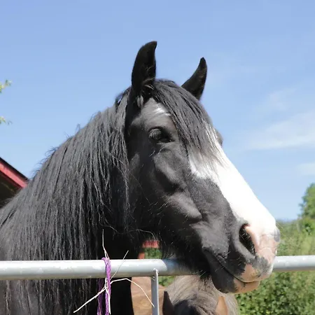 Foulsyke Farm Semesterbostad *