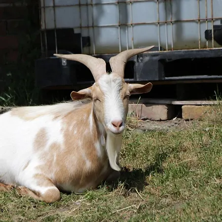 Foulsyke Farm Semesterbostad Saltburn-by-the-Sea